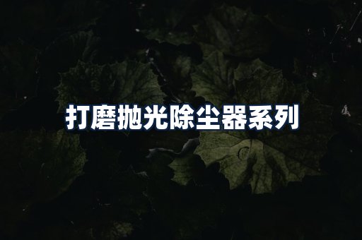 打磨抛光除尘器